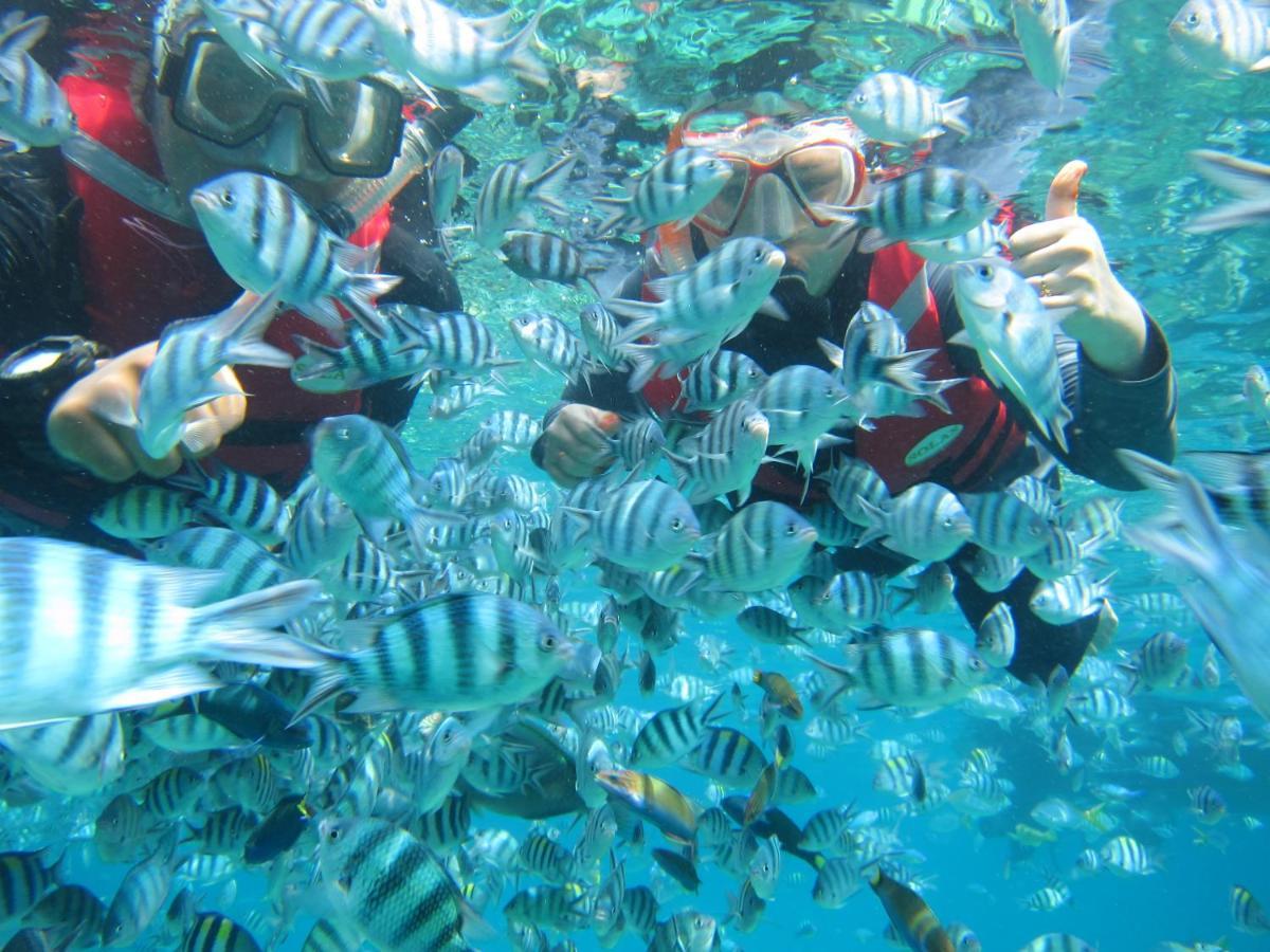 Hotel Go Deeper Tioman Exteriér fotografie